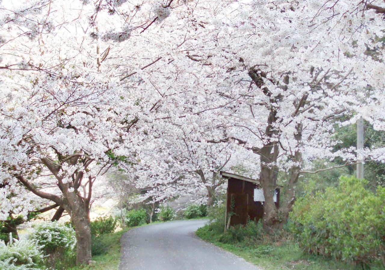 Nishiizu Matsuzaki Itoen Hotel Экстерьер фото