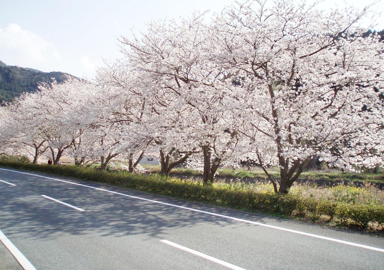 Nishiizu Matsuzaki Itoen Hotel Экстерьер фото